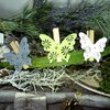 Holz Schmetterling mit Klammer 6 Stück/ Setpreis