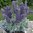 Lavendel 30 cm -im Topf- künstliche Blumen Kunstpflanzen Kunstblumen Textilpflanze