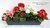 künstliche Geranie 33cm rot -ohne Topf - Blumen Pflanze Kunstpflanzen Kunstblume