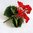Set 3 Stck- Geranie rot 25cm ohne Topf - künstliche Blumen Pflanze Kunstpflanzen Kunstblume