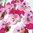 50 x Deko Blumen Blüten Streublumen Streublüten Stiefmütterchen rosa Tischdeko