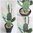 künstlicher Kaktus 27cm Deko Topf - Kunstpflanze künstliche Kakteen Sukkulenten