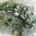 Efeu Ranke künstliches Efeu 45 cm– Efeubusch Efeuranke Kunstpflanzen Efeuhänger
