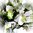 Schneerose 58cm weiß creme - Deko künstliche Rose Blume Kunstblumen Kunstpflanze