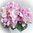 Künstliche Hortensie " melange rosa "mit Stiel 27 cm- Kunstblume Hochzeit Deko Basteln