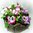 Stiefmütterchen i.Topf H 17 weiß Kunstblume Kunstpflanze künstliche Blumen Blume