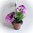Stiefmütterchen i.Topf H 17 lila Kunstblume Kunstpflanze künstliche Blumen Blume