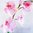 Orchidee 70cm im Topf  Deko künstliche Orchideen Topf Blumen Kunstpflanze Kunstblume