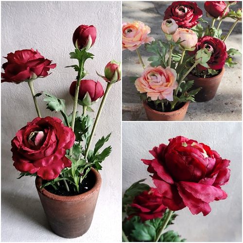 Ranunkel 30 cm rot im Kunstblumen Pflanze Kunstpflanzen DekoEins - Blumen künstliche Topf