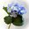 Künstliche Hortensie " retro hellblau "mit Stiel 27 cm- Kunstblume Hochzeit Deko Basteln