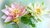 Nr.4 Seerose schwimmend rosa künstliche Teichrose Schwimm Blüte Blume Kunstblume
