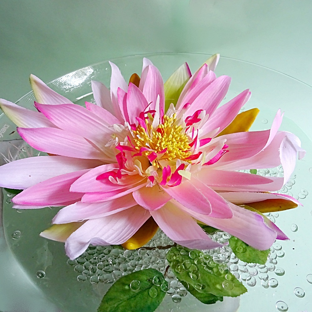 Seerose schwimmend rosa weiß künstliche Teichrose Schwimm Blüte Blume Kunstblume 