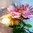 Nr 5 Seerose schwimmend rosa künstliche Teichrose Schwimm Blüte Blume Kunstblume