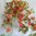 Ahorn 40 cm künstliches Efeu Ranke Busch Deko Herbst Laub Blätter Kunstpflanzen