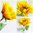 künstliche Sonnenblume Deluxe H 60cm Ø 11cm Sonnemblumen Kunstblumen Herbst Deko