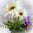 Wiesenblumen Strauß 45 cm - weiß lila Kunstblume künstliche Margeriten Ranunkel