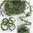 5,4m Teeblatt Girlande mit Beeren Wurzeln - grün - Draht Deko Buchsbaum Girlande