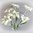 2x künstliche Edelweiß Strauß 30cm weiß - Kunstblume Deko Edelweiss Blüten Blume