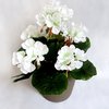 Set 3 Stck- Geranie 25 cm weiß ohne Topf - künstliche Blumen Pflanze Kunstpflanzen Kunstblume