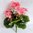 Set 3 Stck- Geranie rosa 25cm ohne Topf - künstliche Blumen Pflanze Kunstpflanzen Kunstblume