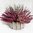Künstliche Erika rosa 27 cm - Blüten Heidekraut Heide Busch Kunstpflanze wetterfest