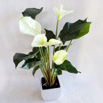künstliche Anthurium im Topf 42 cm weiß Spathiphyllum Kunstpflanze Kunst Blume