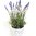 Künstlicher Lavendel im Topf 37 cm Pflanze / künstliche Kunst pflanzen Kunstblumen Blüte