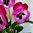 künstliche Stiefmütterchen 40 cm rosa pink - Hornveilchen Kunst Pflanze Blume